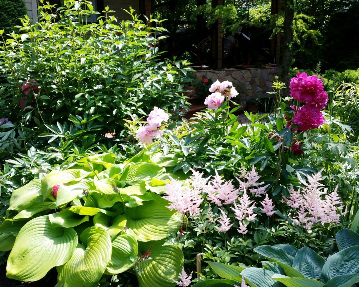 Проект Горки 2