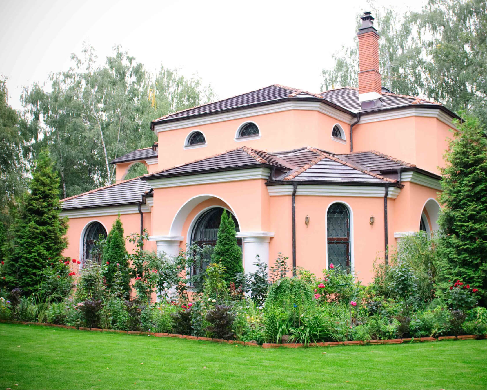 Проект Баковка