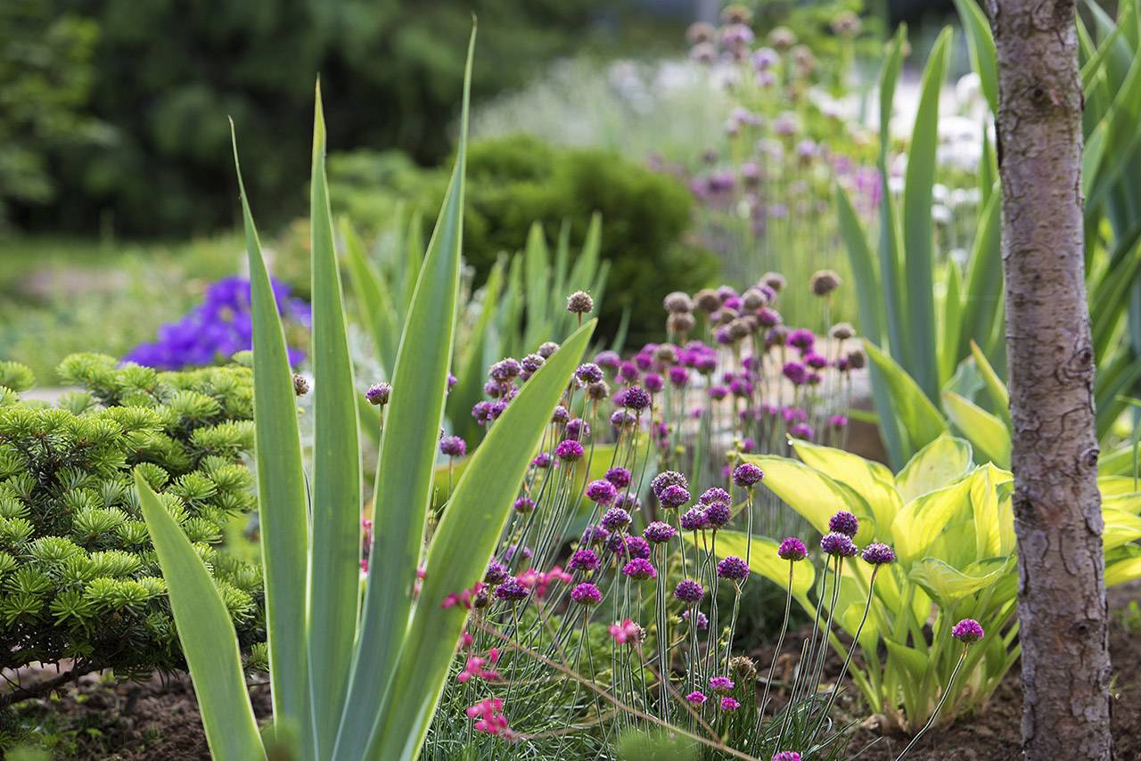 Проект Крекшино