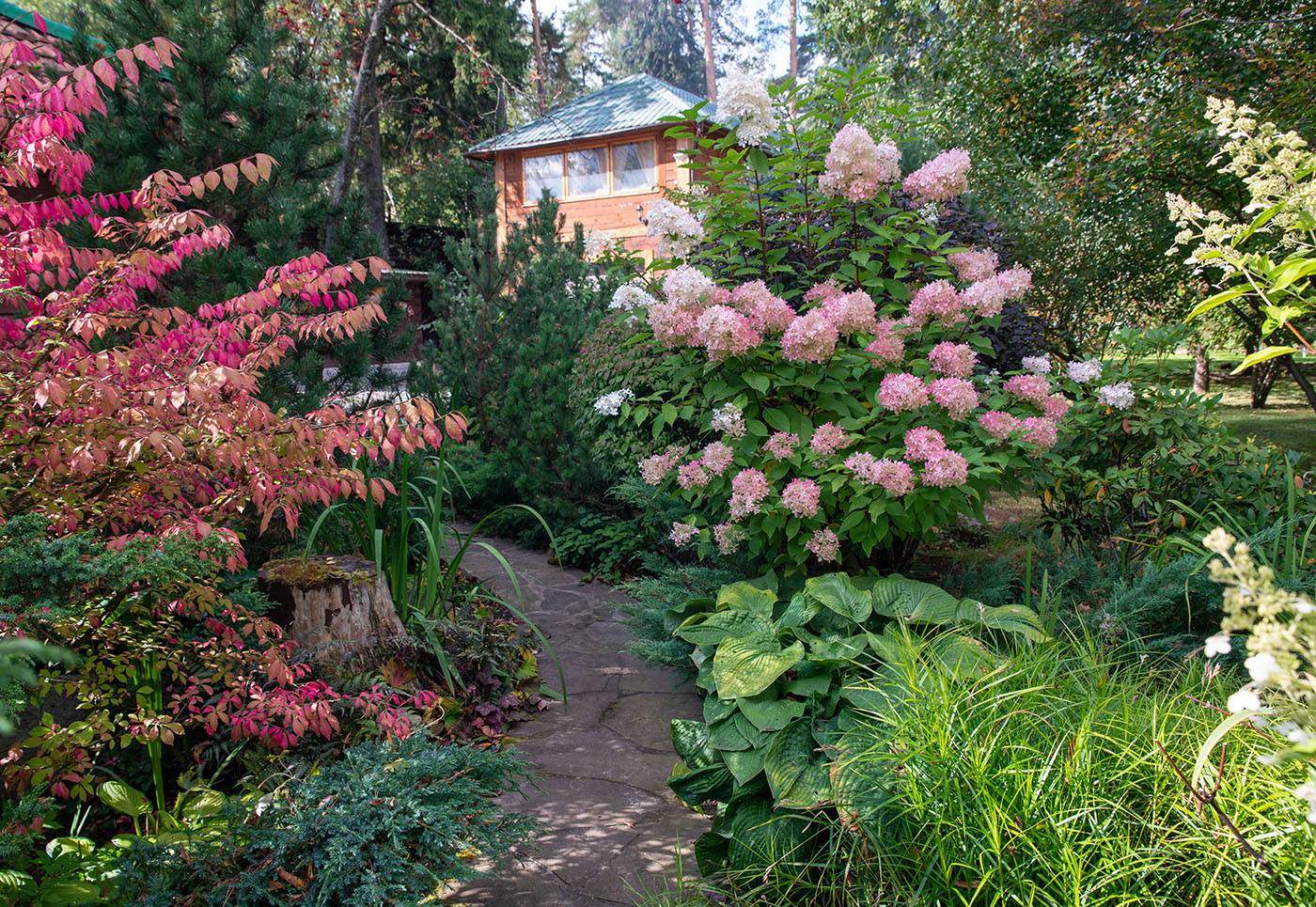 Проект Переделкино